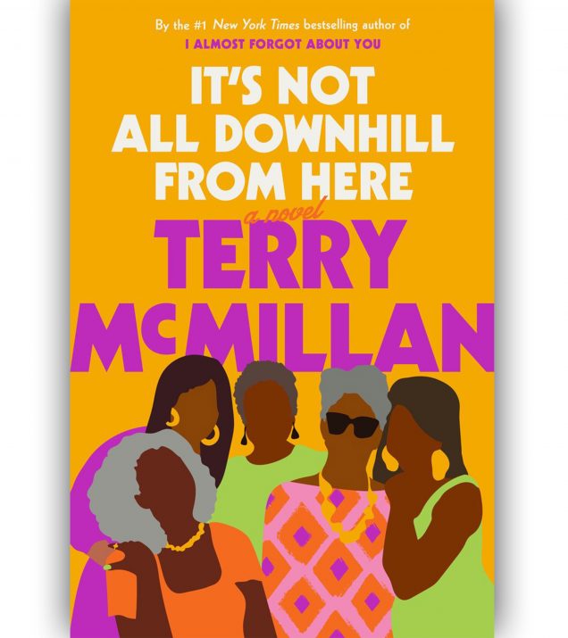 Its-Not-All-Downhill-From-Here-by-Terry-McMillan-Book-Cover