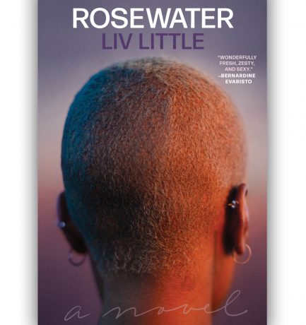 Rosewater By Liv Little Out Today! Happy Book Birthday! 🥳