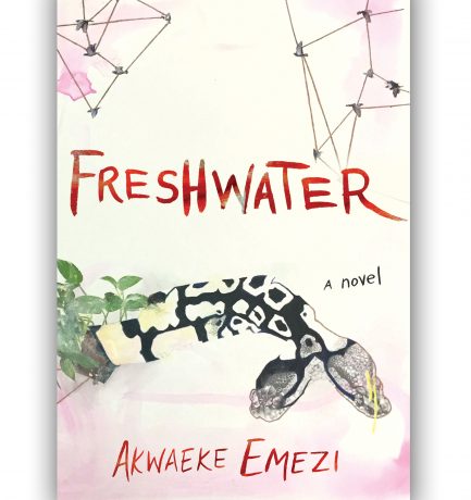 Freshwater By Akwaeke Emezi