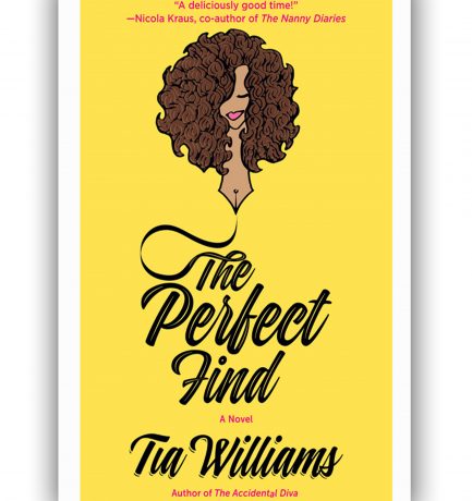 The Perfect Find By Tia Williams Lands At Netflix